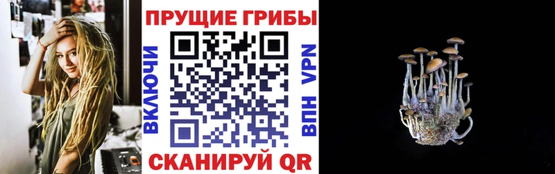 Галлюциногенные грибы ЛСД  KRAKEN маркетплейс  Котовск  где найти  